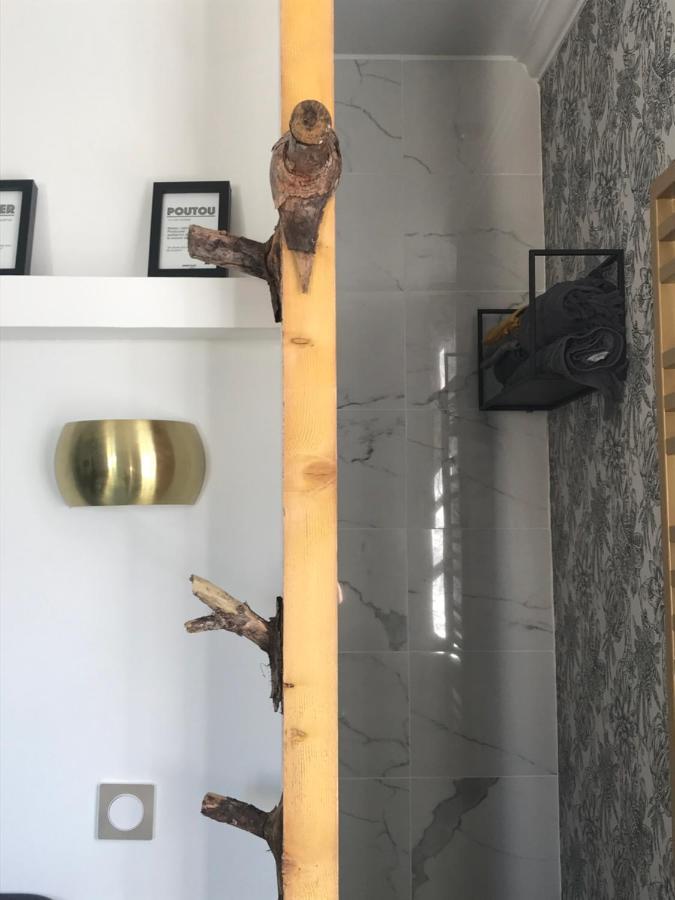 La Loge 45 Au Coeur Du Centre Historique De Rodez Lejlighed Eksteriør billede